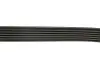 Ремінь генератора Citroen Berlingo 1.6 00-08/ Nemo 1.4i 08- Gates 6PK1560 (фото 4)