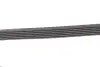 Ремень генератора Citroen Berlingo/Peugeot Bipper/Partner (6PK1560/1565) Gates 6PK1565 (фото 3)