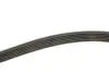Ремінь генератора VW T5 2.0TSI 11-15 Gates 6PK1583 (фото 3)