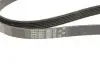 Ремінь генератора VW T5 2.0TSI 11-15 Gates 6PK1583 (фото 5)