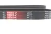 Ремень генератора Opel Meriva A 1.7CDTi 03-10 Gates 6PK1595 (фото 5)