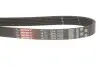 Ремень генератора Opel Astra 1.7CDTi 03-/Renault Megane/Laguna 1.9-3.0 97-03 Gates 6PK1605 (фото 2)