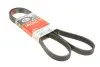Ремінь генератора Opel Corsa D 1.7CDTI 06-11/Ford Fiesta 1.8DI 00-03 6PK1613
