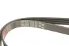 Ремінь генератора Opel Corsa D 1.7CDTI 06-11/Ford Fiesta 1.8DI 00-03 Gates 6PK1613 (фото 4)