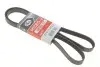 Ремінь генератора Chery Tiggo 1.6-2.0 06- Gates 6PK1628XS (фото 1)