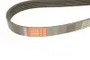 Ремінь генератора Opel Astra J/K/Insignia A/B/Ford Escort/Fiesta 1.4/1.6/1.6CDTI 90- Gates 6PK1633 (фото 4)