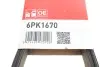 Ремінь генератора Fiat Ducato 2.2/Ford Transit 2.2/Opel Combo 1.3 CDTI 06- Gates 6PK1670 (фото 6)