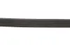 Ремінь генератора Citroen Berlingo/Peugeot Partner 1.9D 98-06 Gates 6PK1678 (фото 4)