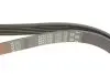 Ремень генератора Peugeot Expert 1.9D/2.0HDI 98-/Renault Clio/Kangoo/Megane 1.4/1.6 98-03 Gates 6PK1750 (фото 4)