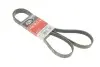 Ремень генератора BMW 3 (E90-E93)/X1 (E84) 3.2D 07-11 N47 D20 Gates 6PK1780 (фото 1)
