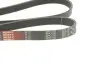 Ремень генератора BMW 3 (E90-E93)/X1 (E84) 3.2D 07-11 N47 D20 Gates 6PK1780 (фото 2)