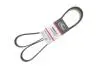 Поликлиновые ремни Micro-V XS Gates 6PK1853XS (фото 2)