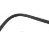 Поликлиновые ремни Micro-V XS Gates 6PK1853XS (фото 4)