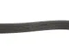 Ремінь генератора Jeep Wrangler 4.0 i 96-07/Subaru Forester 2.0 13- Gates 6PK1910 (фото 3)