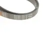Ремінь генератора Ford Focus 1.4/1.6 16V 98-04 Gates 6PK1915 (фото 4)
