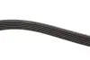 Ремень генератора Audi A8 3.0i 03-06/Lexus GS/IS 3.0/3.5 00-11/Ford Fiesta 1.25-1.6 94-02 Gates 6PK1928 (фото 3)