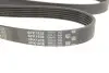 Ремінь генератора Infiniti FX/M45/Lexus GS/Mitsubishi Outlander 1.8-4.5 93- Gates 6PK1938 (фото 4)