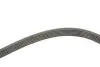 Ремінь генератора BMW 3 (E46) 2.0d 01-05 M47 Gates 6PK2090 (фото 3)