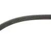 Ремінь генератора MB C-class (W202)/E-class (W211) 2.2CDI/2.7CDI 98-09 Gates 6PK2253 (фото 3)