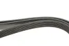 Ремінь генератора Audi A4/A6/A8/Q7 2.7/3.0TDI/VW Touareg 3.0TDI 04-18 Gates 6PK2490 (фото 3)