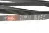 Ремінь генератора Jeep Cherokee/Liberty 2.5CRD/2.8 CRD 01- Gates 6PK2870 (фото 2)