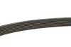 Ремень генератора Citroen Jumper/Fiat Ducato/Peugeot Boxer 2.0 94- Gates 6PK700 (фото 2)