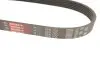 Ремень генератора Citroen Jumper/Fiat Ducato/Peugeot Boxer 2.0 94- Gates 6PK700 (фото 3)