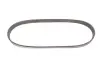 Ремень генератора MB S-class (W222/V222/X222) 14- Gates 6PK725 (фото 1)