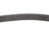 Ремень генератора MB S-class (W222/V222/X222) 14- Gates 6PK725 (фото 3)
