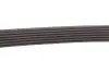 Поліклінові ремені Micro-V Gates 6PK743 (фото 3)