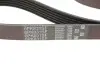 Ремень генератора Ford Transit 2.0Di/TDCi 00-(-AC) Gates 6PK831SF (фото 5)