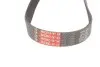 Ремень генератора Chevrolet Aveo 1.4 06-07 Gates 6PK883 (фото 3)