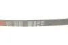 Ремінь генератора Fiat Scudo/Peugeot Expert 1.6 96-06 Gates 6PK893 (фото 4)