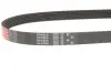 Ремінь генератора Citroen Berlingo 1.6VTi 09- Gates 6PK905 (фото 2)
