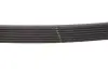 Ремінь генератора Renault Duster 1.6 SCe 19- Gates 7PK1038SF (фото 3)