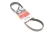 Ремень генератора BMW Z8 (E52) 4.9 00-03 S62 Gates 7PK1440 (фото 1)