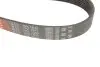 Ремень генератора Nissan Patrol 3.0 DTi 00- Gates 7PK1640 (фото 4)