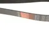 Ремень генератора Nissan Patrol 3.0 DTi 00- Gates 7PK1640 (фото 5)