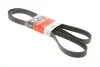 Ремень генератора Honda Accord VIII 2.0 I 08-/ Land Rover Range Rover II 3.9-4.6 94-02 Gates 7PK2080 (фото 1)