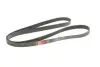 Ремень генератора Honda Accord VIII 2.0 I 08-/ Land Rover Range Rover II 3.9-4.6 94-02 Gates 7PK2080 (фото 2)