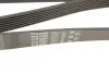 Ремень генератора Honda Accord VIII 2.0 I 08-/ Land Rover Range Rover II 3.9-4.6 94-02 Gates 7PK2080 (фото 4)