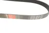 Ремінь генератора Mazda 3/5/6 2.0 DI/CD 02-10 Gates 8PK1225 (фото 2)
