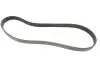 Ремінь генератора Mazda MPV II 2.0D 02-06 Gates 8PK1230 (фото 4)