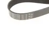 Ремень генератора Mazda 3/6 2.2D 10-13 Gates 8PK1310XS (фото 4)