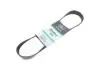 Ремень генератора Man TGA 00-/ E2000 95-00 (8PK880) Gates 8PK880HD (фото 2)