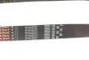Ремень генератора BMW 3 (F30)/5 (F10) 11-16 (N55B30A) (8PK942) Gates 8PK942EST (фото 4)