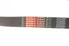 Ремень генератора BMW 3 (F30)/5 (F10) 11-16 (N55B30A) (8PK942) Gates 8PK942EST (фото 5)
