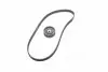 Комплект ГРМ VW Golf II/Passat 1.8/2.0 16V 86-93/Audi 100/80/A6 2.0E 90-97 (25x147z) Gates K015183XS (фото 4)