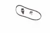 Комплект ГРМ Renault Laguna/Megane 2.0 93-01 (19x127z) Gates K015370XS (фото 3)