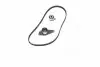 Комплект ГРМ Renault Laguna/Megane 2.0 93-01 (19x127z) Gates K015370XS (фото 4)
